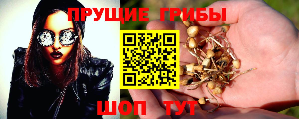Галлюциногенные грибы мицелий  Галлюциногенные грибы мицелий  Протвино  Вход с VPN 